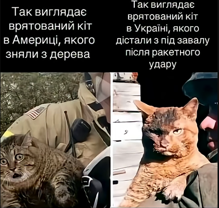 123.png